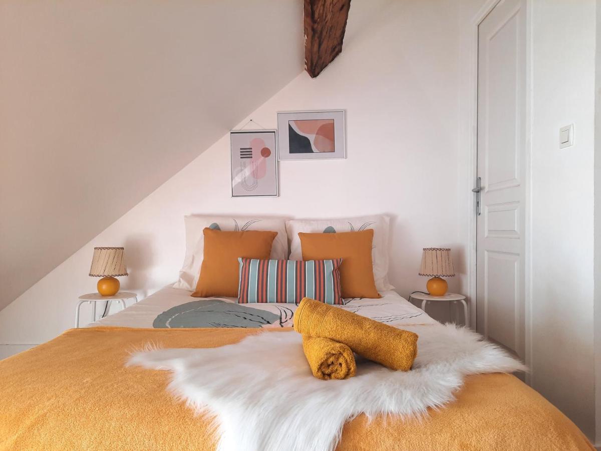 Bnb Le Cocon, Coeur Historique D'Orleans, 5' Train Station Bagian luar foto